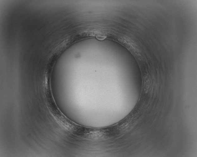 X0000076050310200610061517