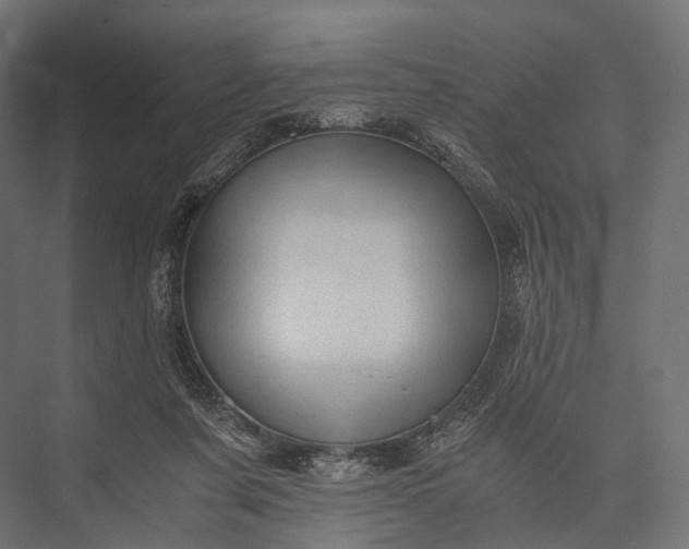 X0000076050311200610061517
