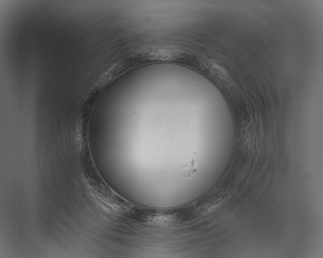 X0000076050312200610061517