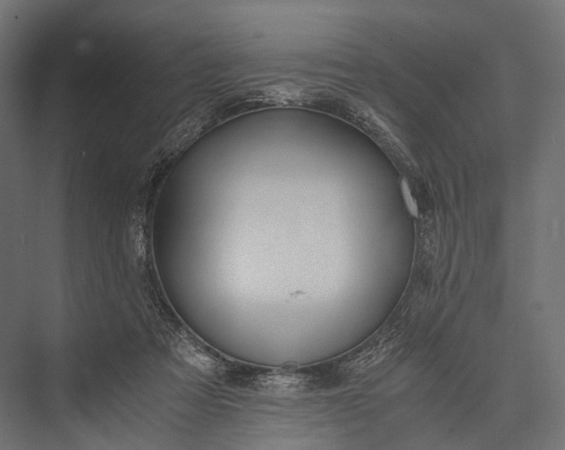 X0000076050313200610061517