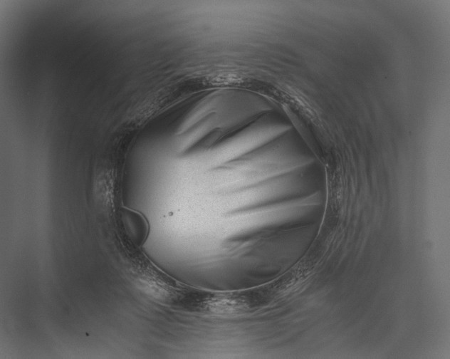 X0000076050315200610061517