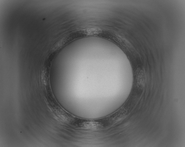X0000076050316200610061517