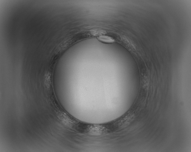 X0000076050321200610061517