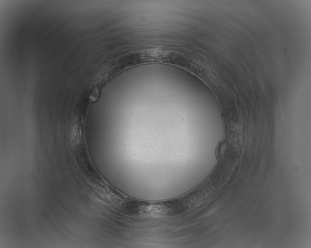 X0000076050324200610061517