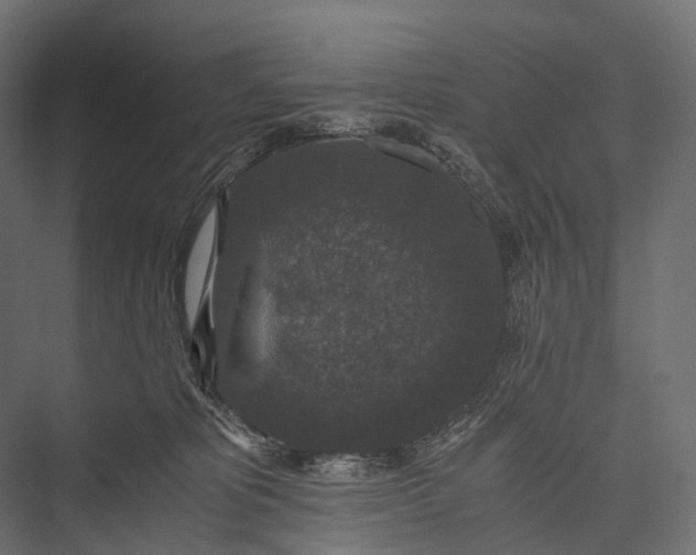 X0000076050325200610061517