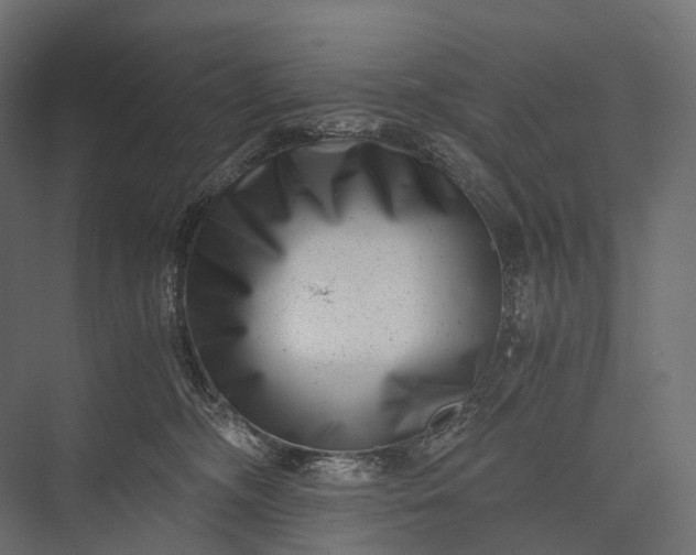X0000076050326200610061517