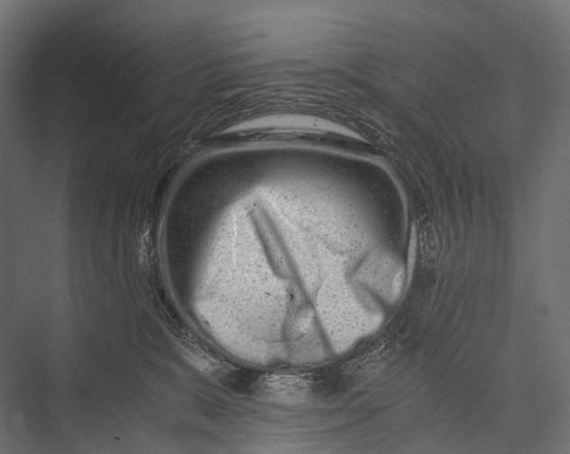 X0000076050327200610061517