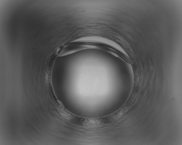 X0000076050329200610061517