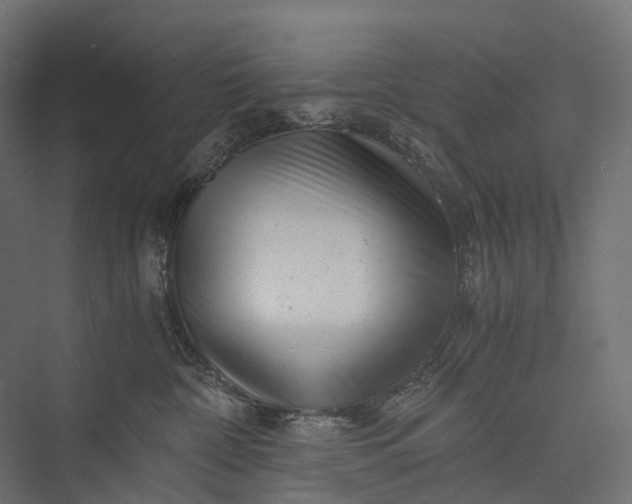 X0000076050332200610061516