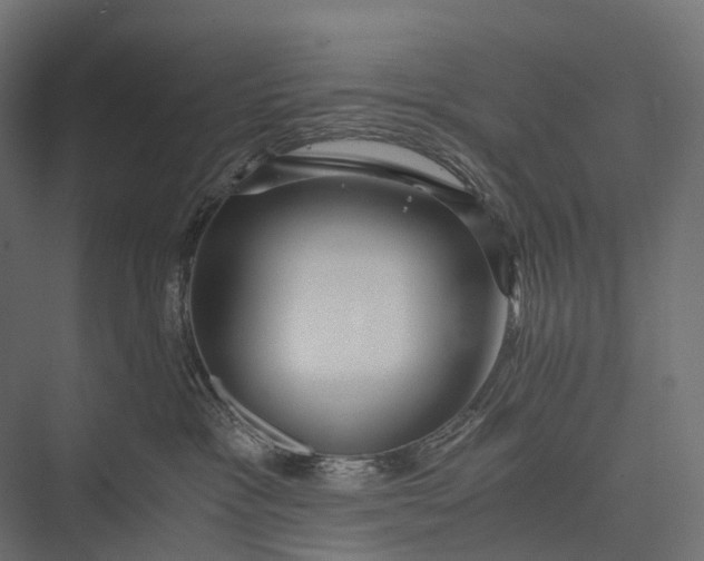 X0000076050333200610061516