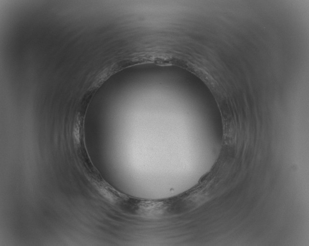 X0000076050334200610061516