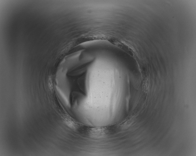 X0000076050335200610061516