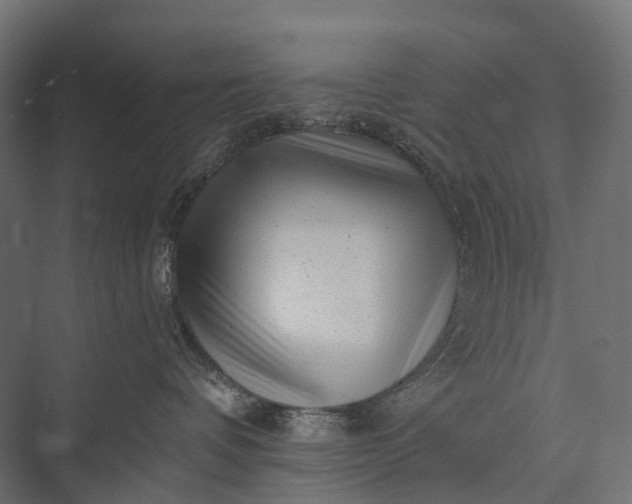 X0000076050336200610061516