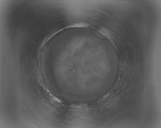 X0000076050337200610061516