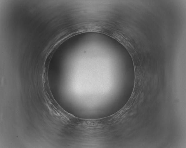 X0000076050338200610061516