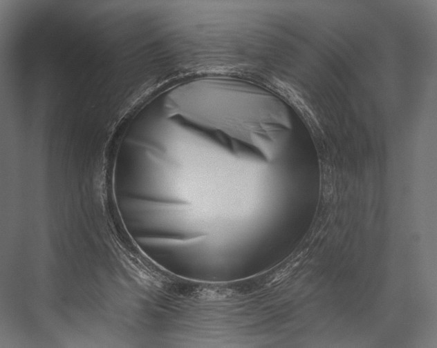 X0000076050346200610061516