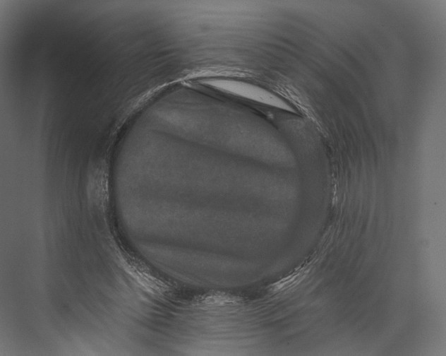 X0000076050348200610061516