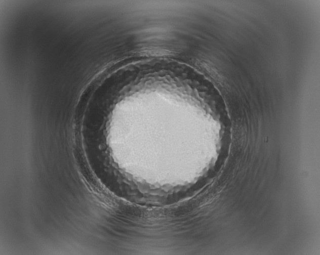 X0000076050351200610061516