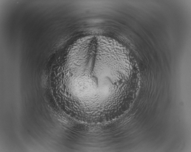 X0000076050355200610061516