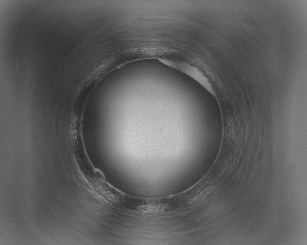 X0000076050356200610061516