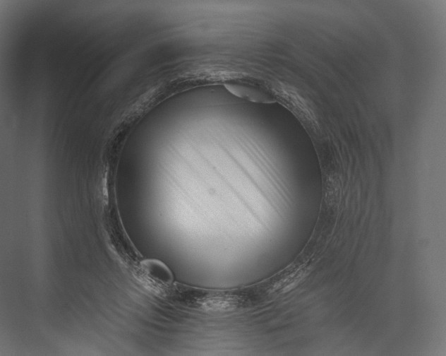 X0000076050358200610061516