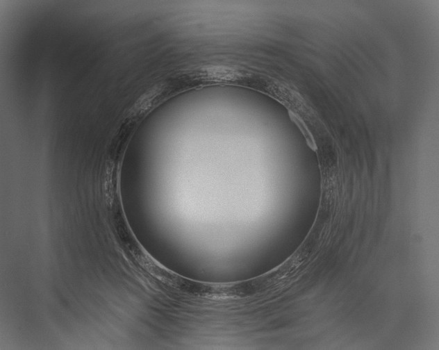 X0000076050360200610061516