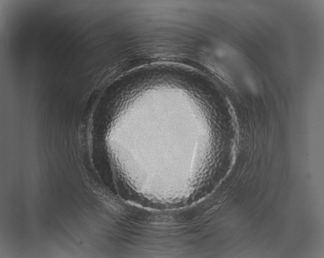 X0000076050361200610061516