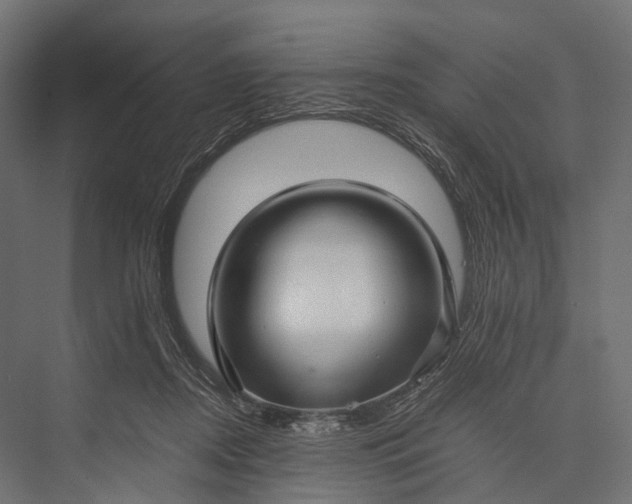 X0000076050362200610061516