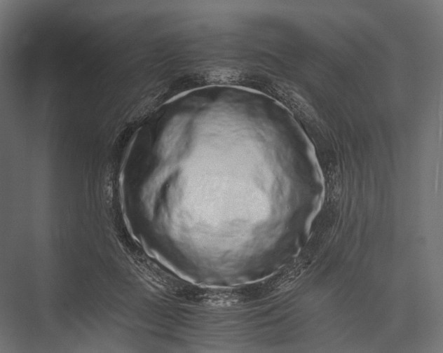 X0000076050363200610061516