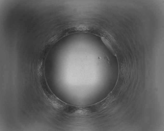 X0000076050364200610061516
