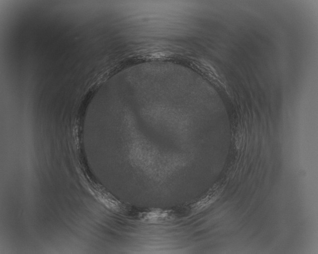 X0000076050366200610061516