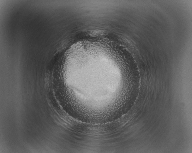 X0000076050367200610061516