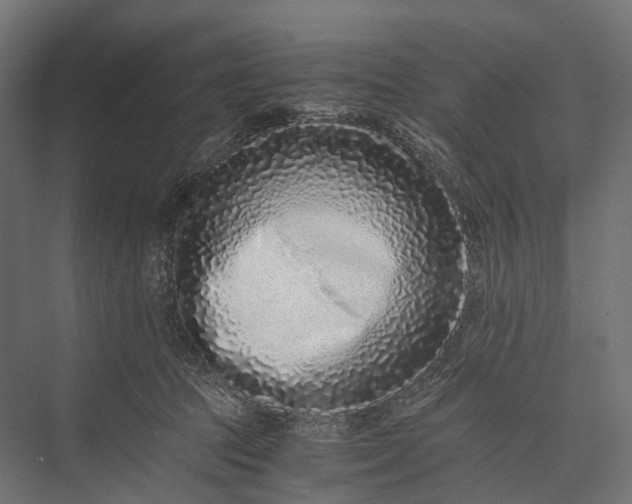 X0000076050369200610061516