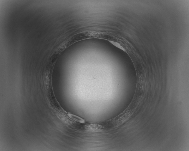 X0000076050372200610061516