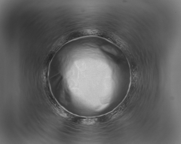 X0000076050373200610061516