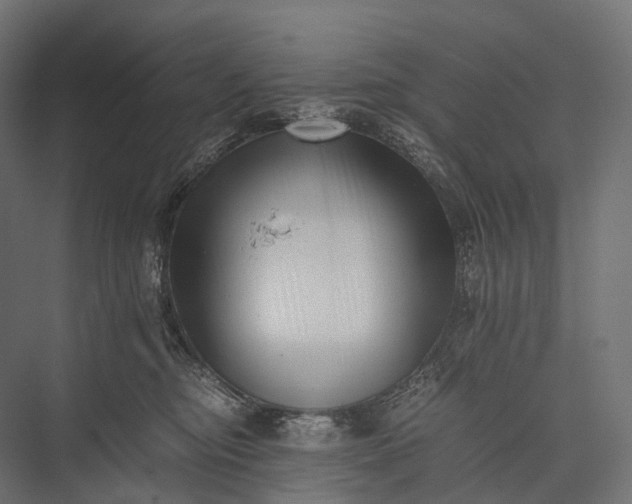 X0000076050374200610061516