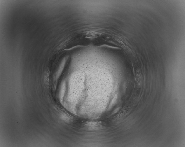 X0000076050375200610061516