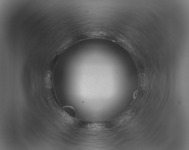 X0000076050378200610061516