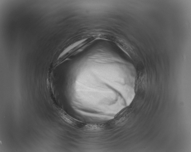X0000076050381200610061516