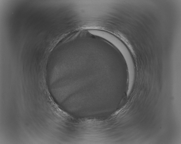 X0000076050385200610061516