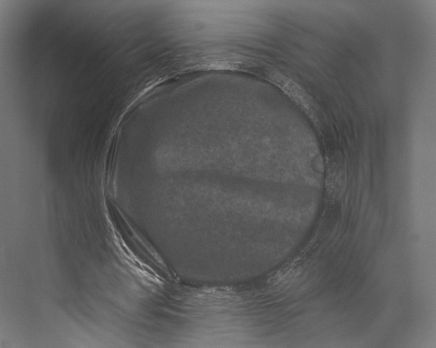X0000076050386200610061516