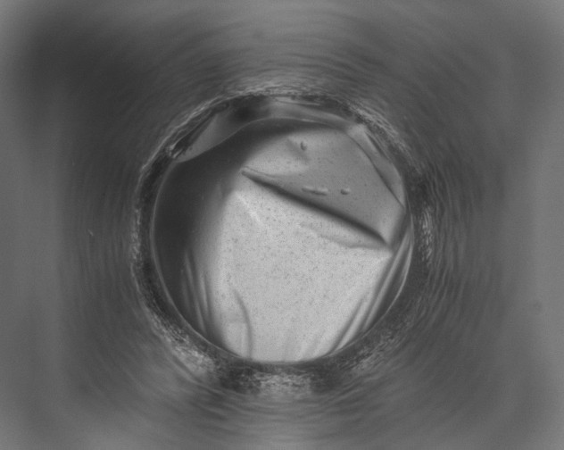 X0000076050400200610061515