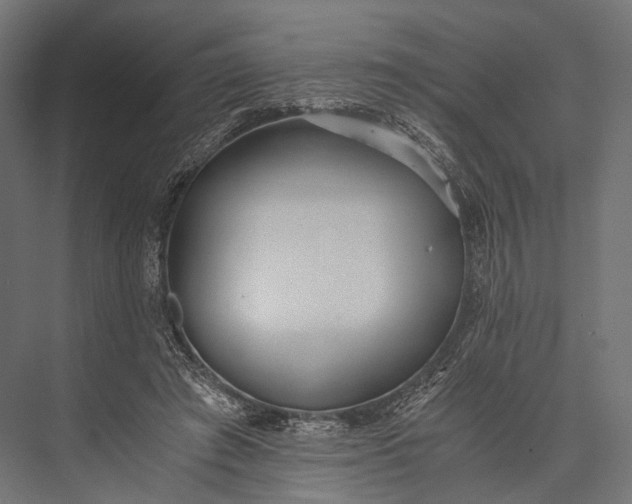 X0000076050401200610061515