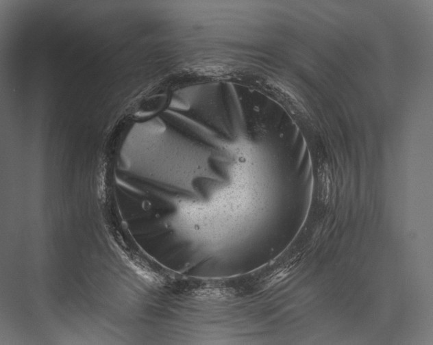 X0000076050404200610061515