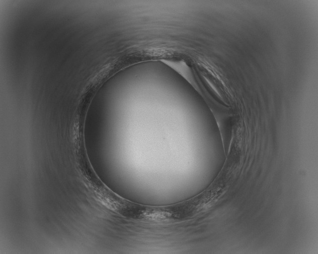 X0000076050407200610061515
