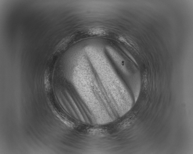X0000076050408200610061515