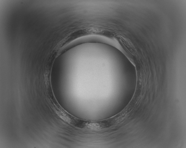 X0000076050409200610061515