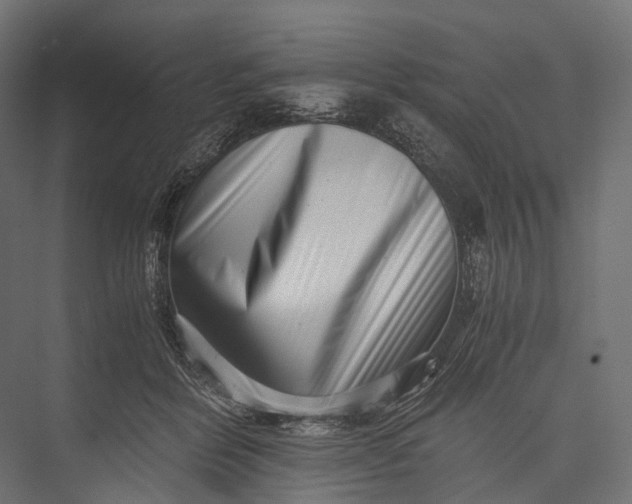 X0000076050412200610061515