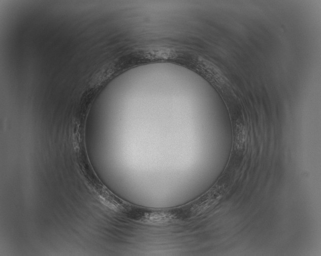 X0000076050414200610061515