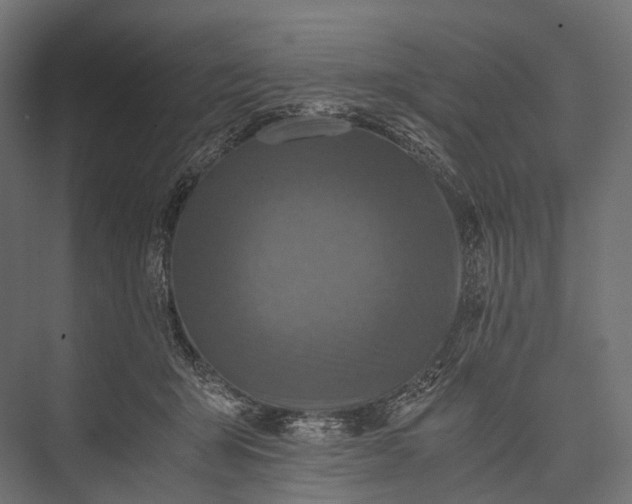 X0000076050415200610061515